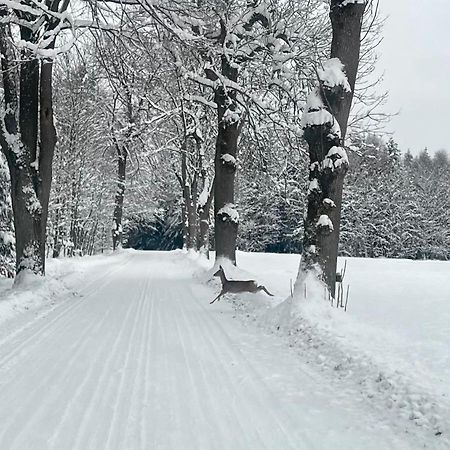 Apartmán Garsonka V Srdci Vysociny Žďár nad Sázavou Exteriér fotografie