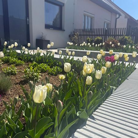 Apartmán Garsonka V Srdci Vysociny Žďár nad Sázavou Exteriér fotografie