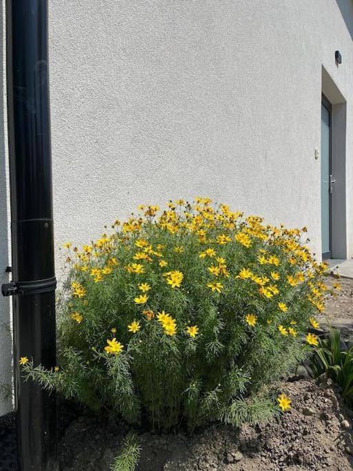 Apartmán Garsonka V Srdci Vysociny Žďár nad Sázavou Exteriér fotografie