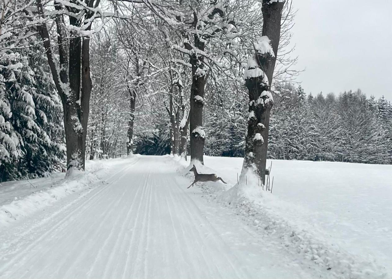 Apartmán Garsonka V Srdci Vysociny Žďár nad Sázavou Exteriér fotografie