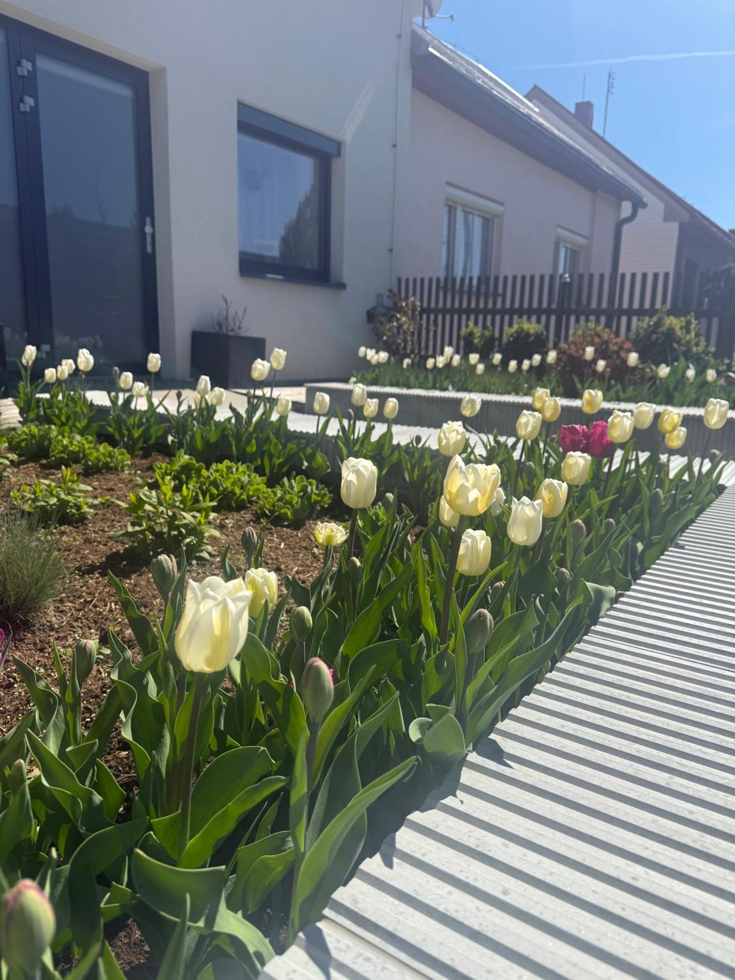 Apartmán Garsonka V Srdci Vysociny Žďár nad Sázavou Exteriér fotografie